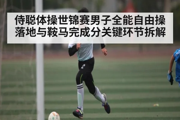 侍聪体操世锦赛男子全能自由操落地与鞍马完成分关键环节拆解 | kaiyun
